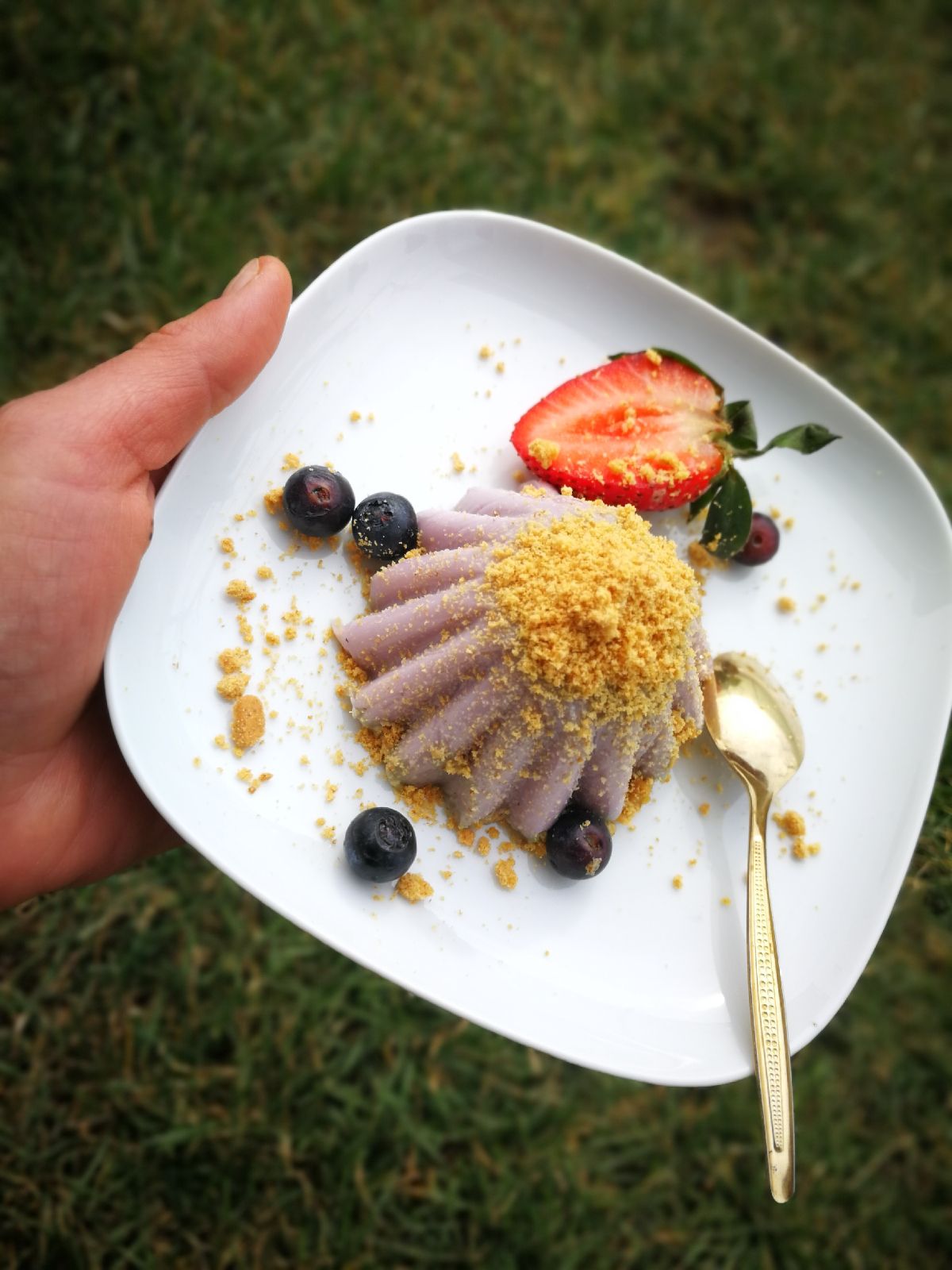 Fotografie din rețeta Panna cotta cu Agar Agar