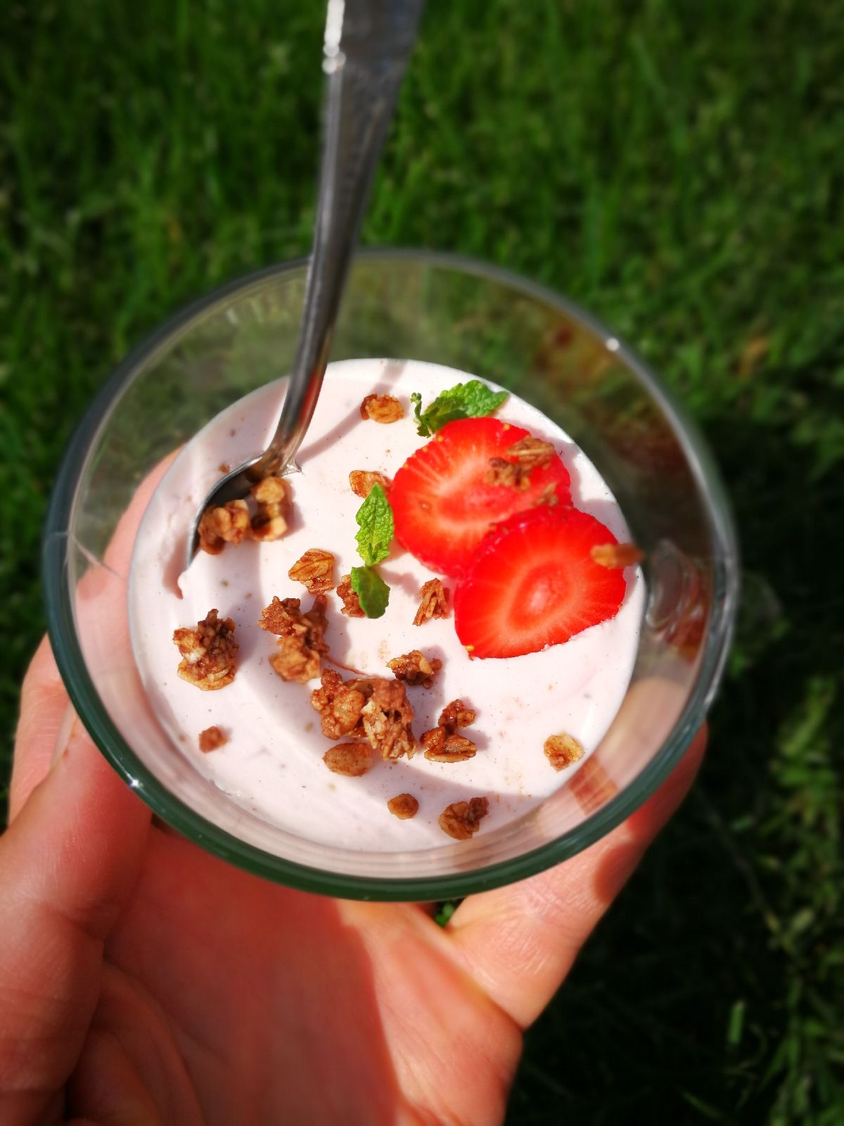 Fotografie din rețeta Panna cotta de căpșuni