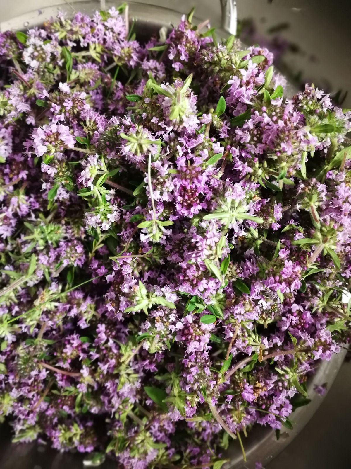 Fotografie din rețeta Sirop de flori