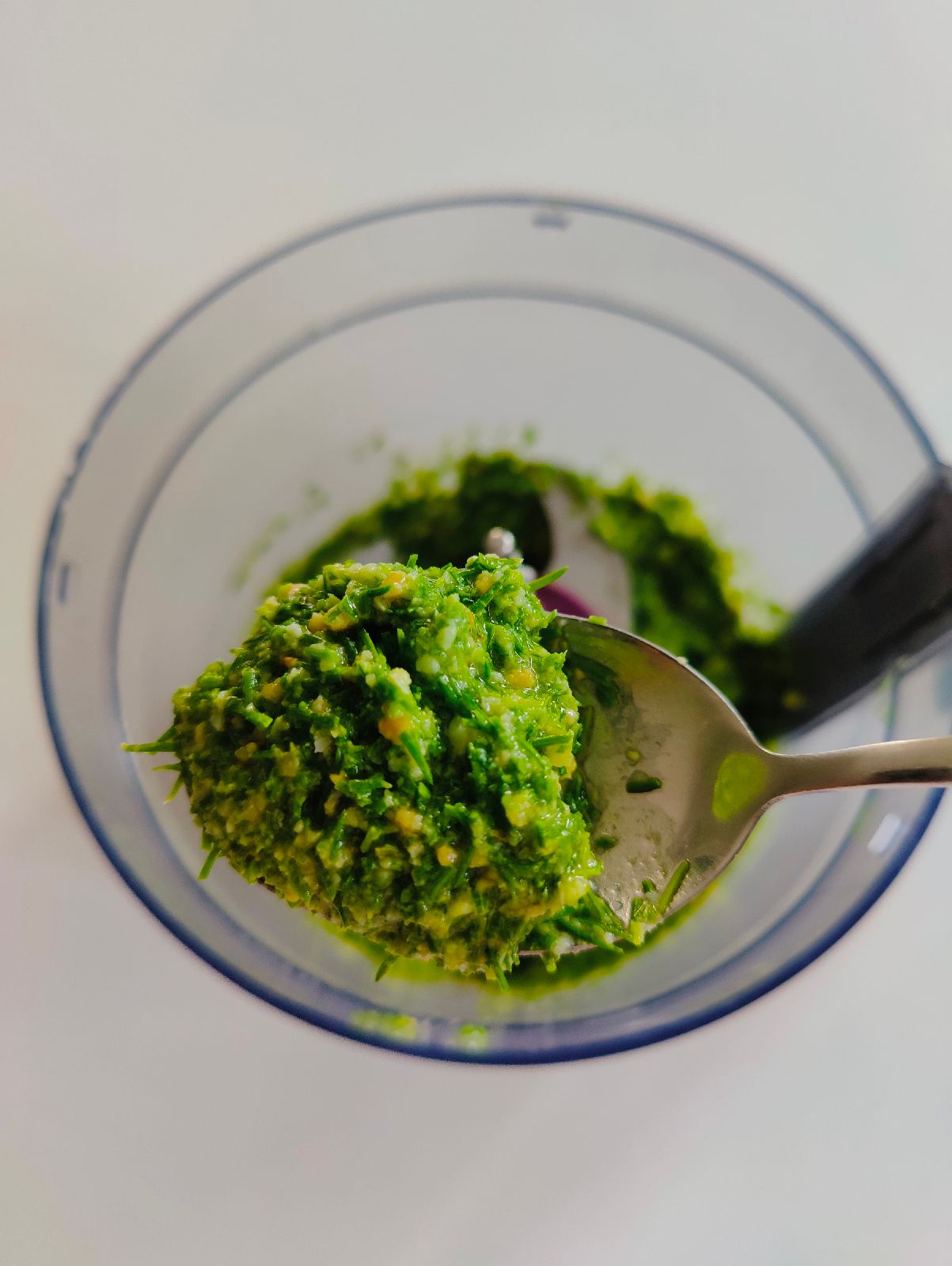 Fotografie din rețeta Pesto din muguri de brad