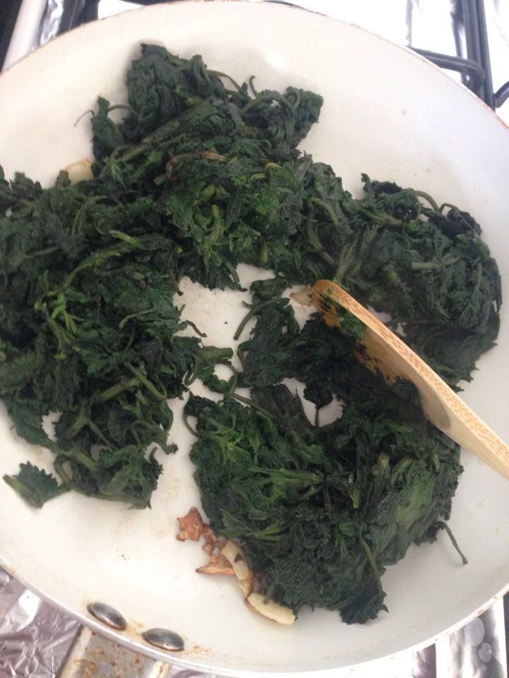 Photo from the recipe Nettle Pie