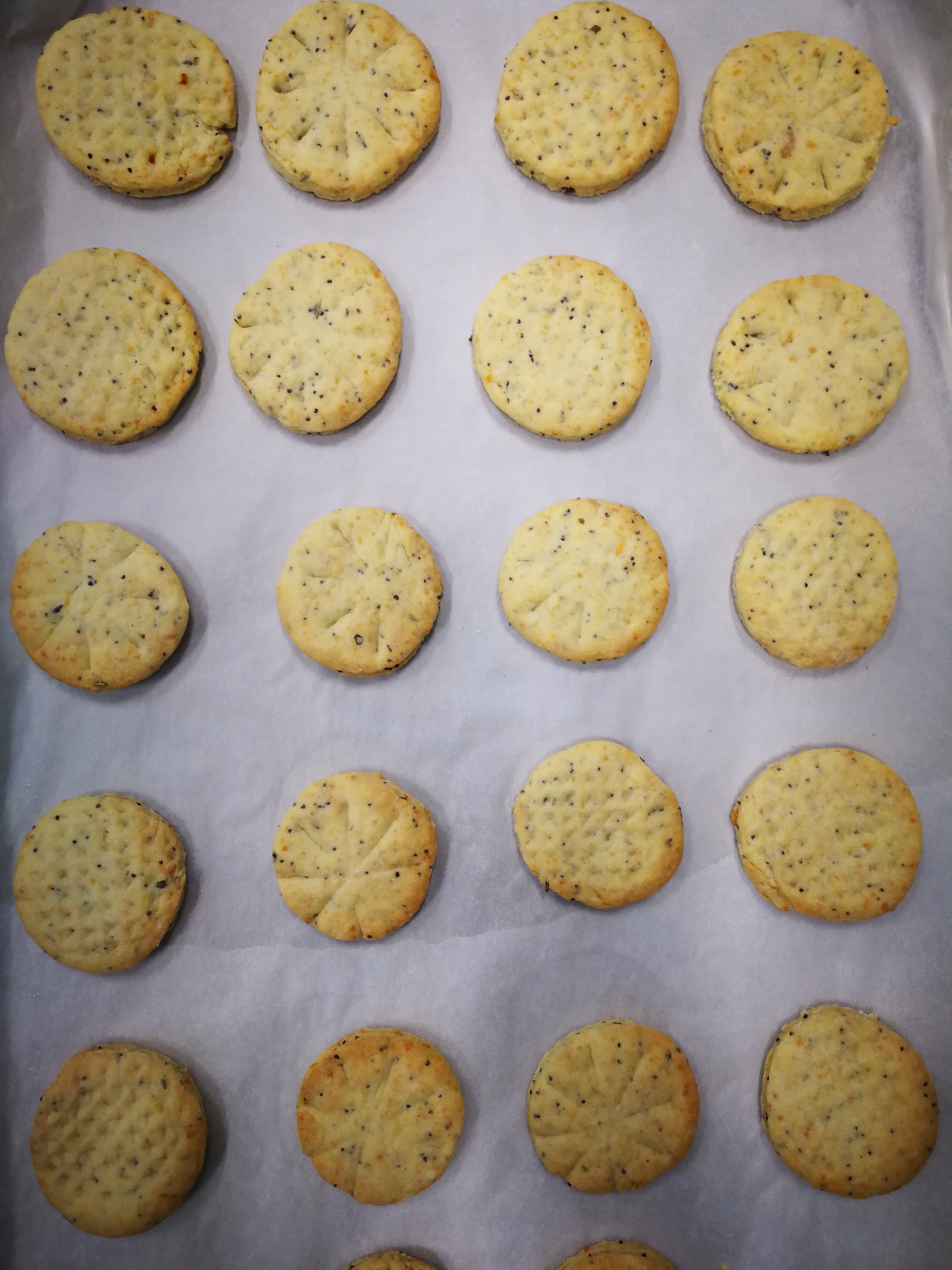 Fotografie din rețeta Biscuiți cu parmezan și mac