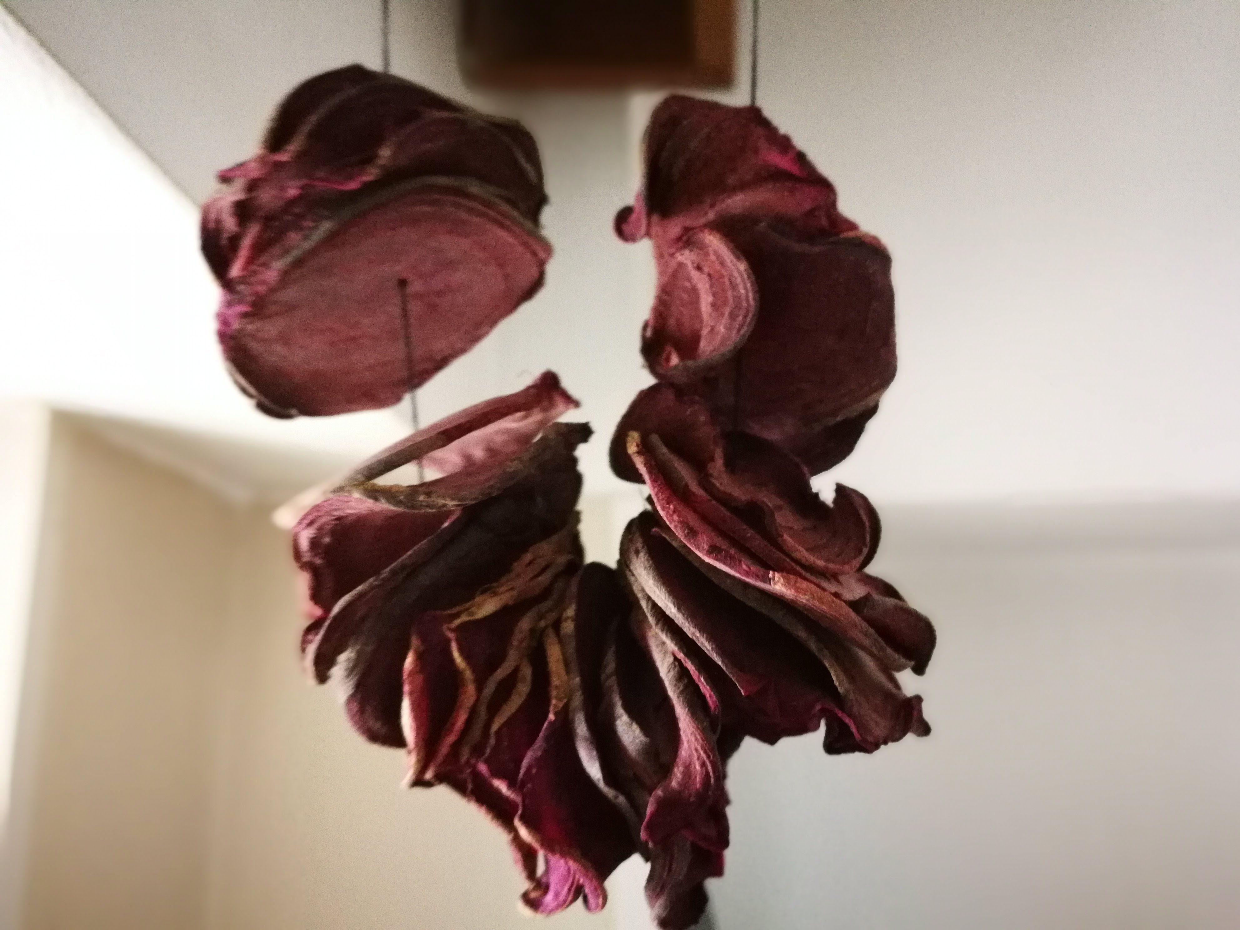 Fotografie din rețeta Pudra de sfeclă roșie - Beetroot powder