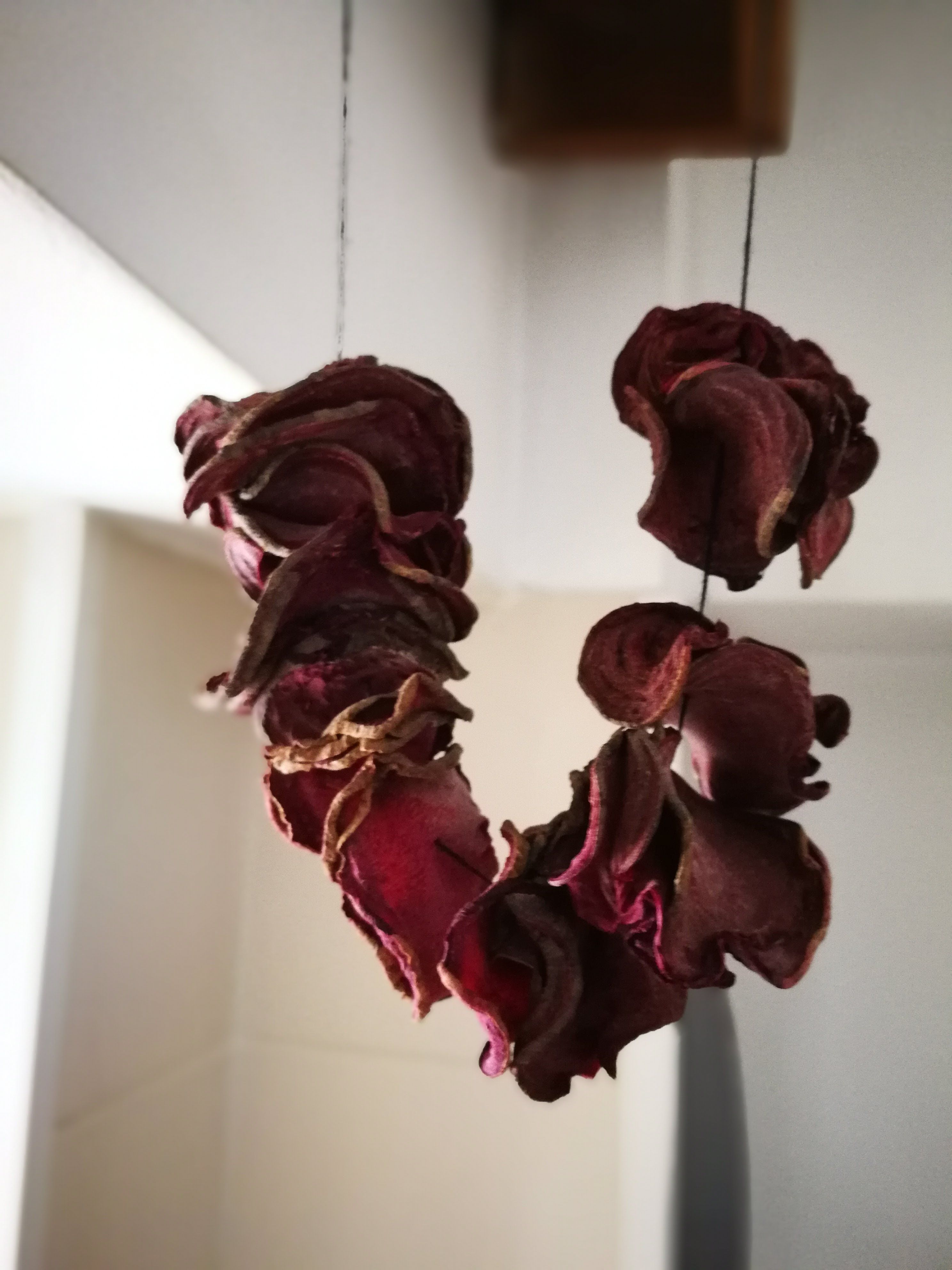 Fotografie din rețeta Pudra de sfeclă roșie - Beetroot powder
