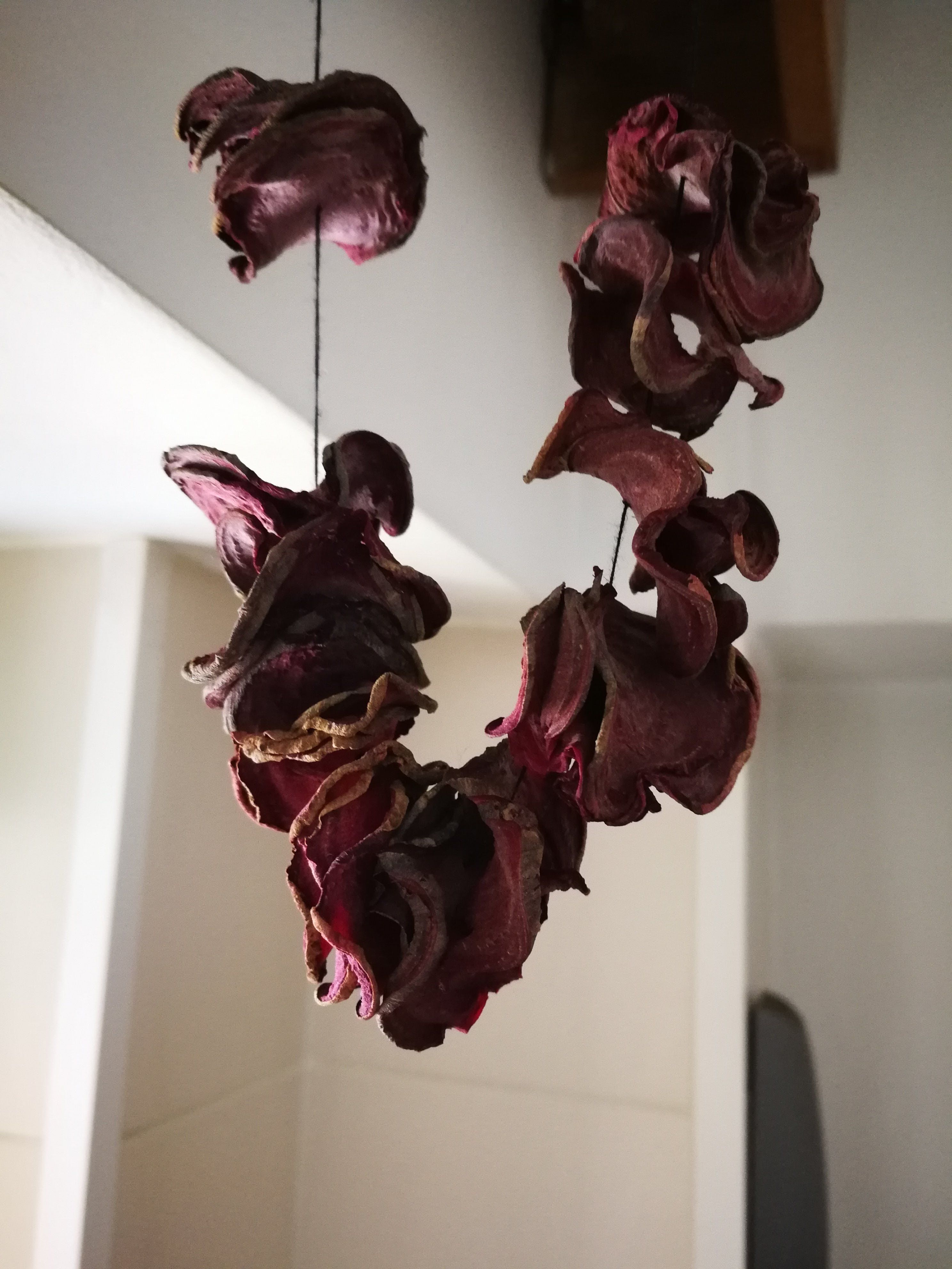Fotografie din rețeta Pudra de sfeclă roșie - Beetroot powder